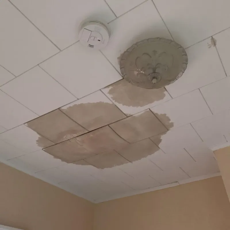 Ceiling Water Damage Repair in Elmwood Place, OH