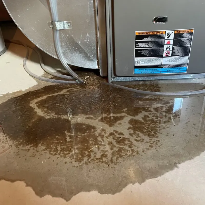 Pipe Burst and Leak Restoration in Elmwood Place, OH