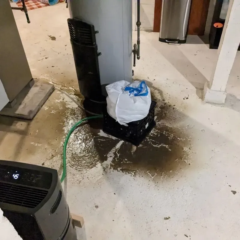 Sewage Backup Cleanup Service in Elmwood Place, OH